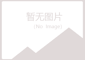 青岛黄岛安雁制造有限公司